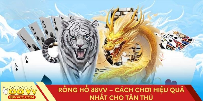Rồng Hổ 88VV – Cách Chơi Hiệu Quả Nhất Cho Tân Thủ